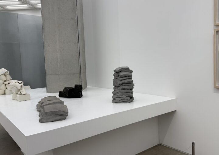 2024 12 10 Zeperito Wonderland