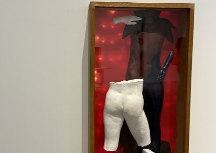 2024 12 08 Zeperito Wonderland