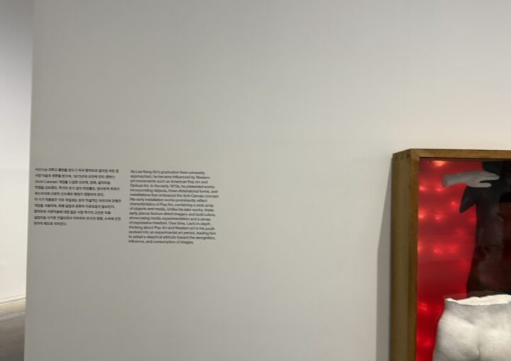 2024 12 07 Zeperito Wonderland