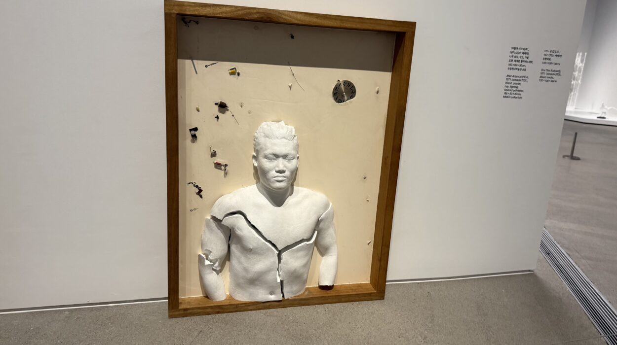 2024 12 06 Zeperito Wonderland