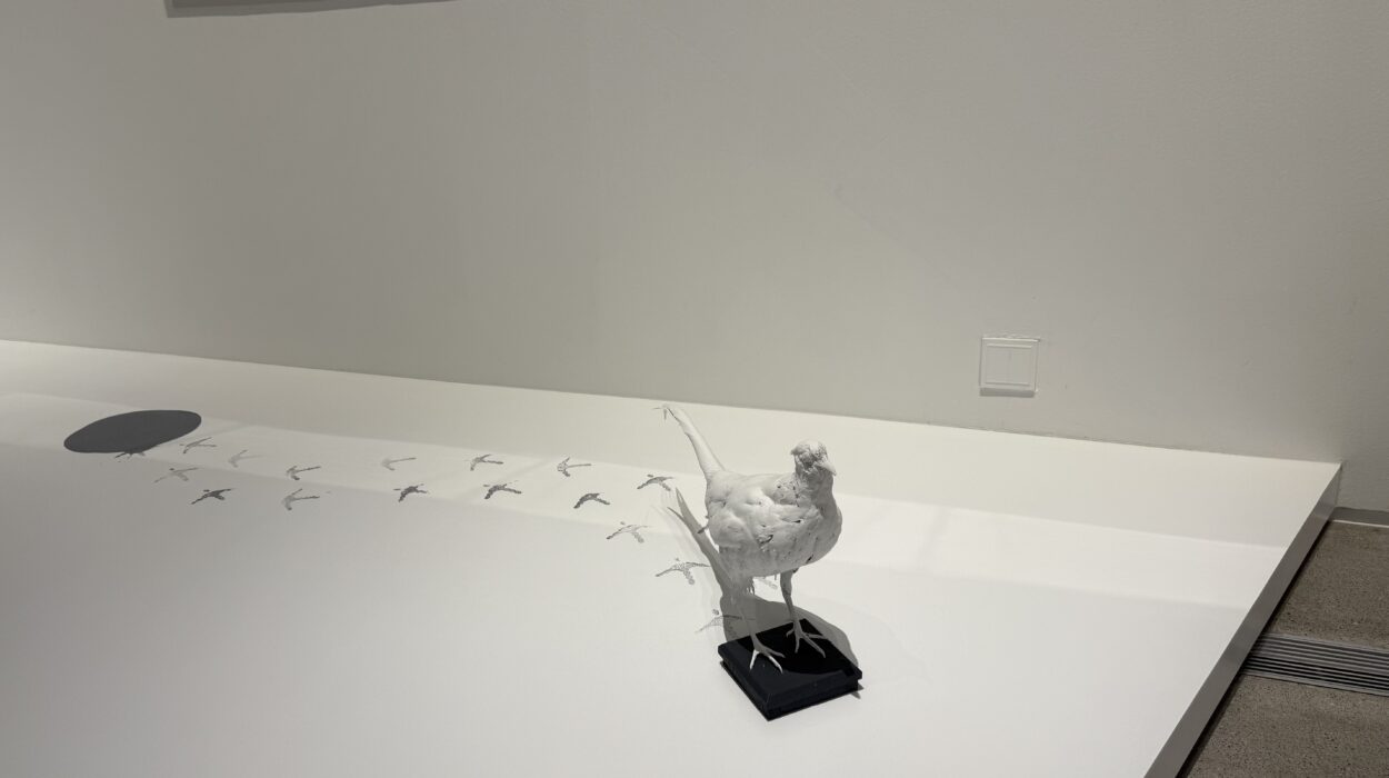 2024 12 05 Zeperito Wonderland