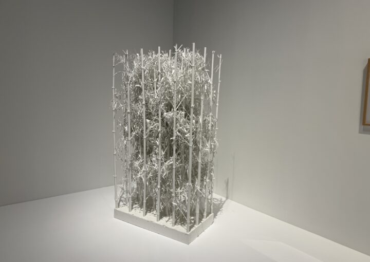 2024 12 04 Zeperito Wonderland