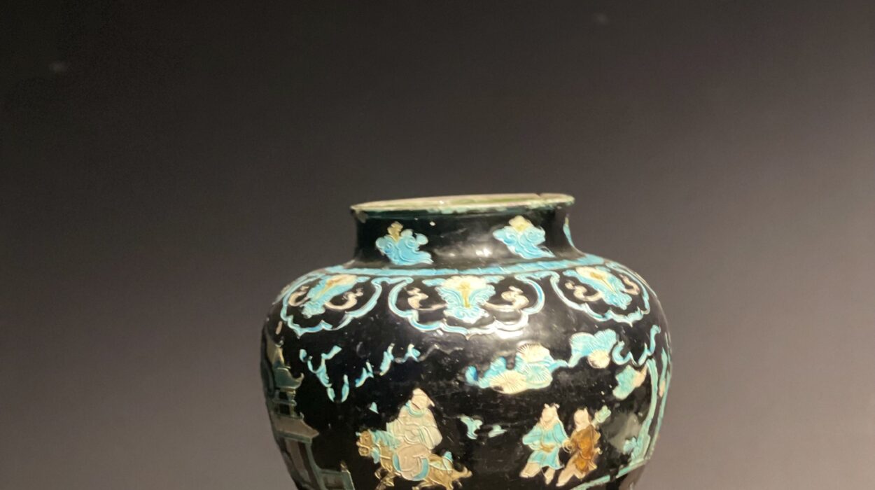 2024 12 03 Zeperito Wonderland