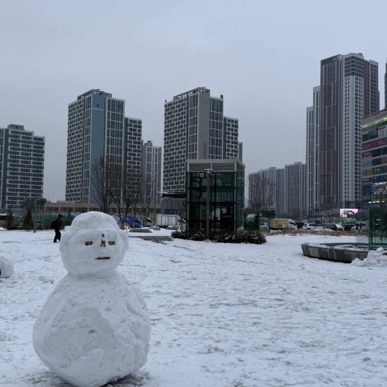 2025 01 10 Zeperito Wonderland