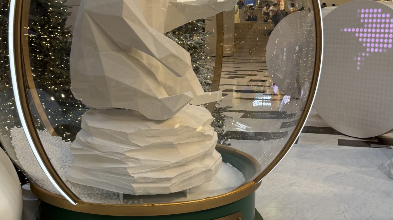 2025 01 20 Zeperito Wonderland