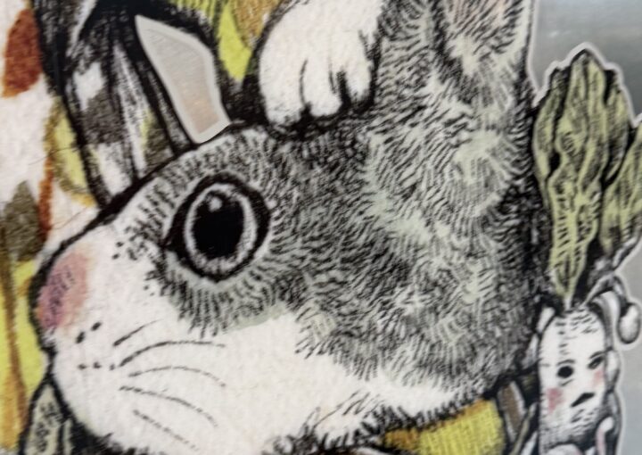 2025 01 19 Zeperito Wonderland