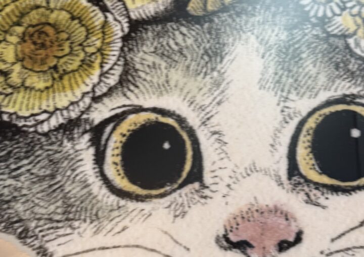 2025 01 18 Zeperito Wonderland