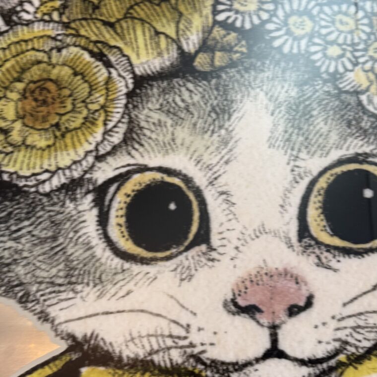 2025 01 18 Zeperito Wonderland