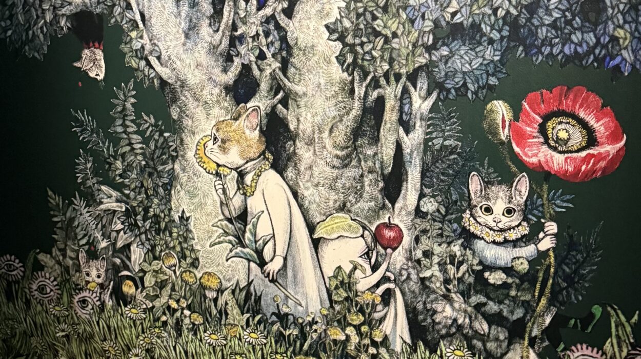 2025 01 17 Zeperito Wonderland