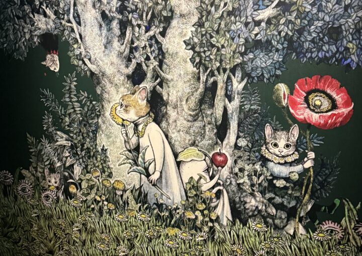 2025 01 17 Zeperito Wonderland