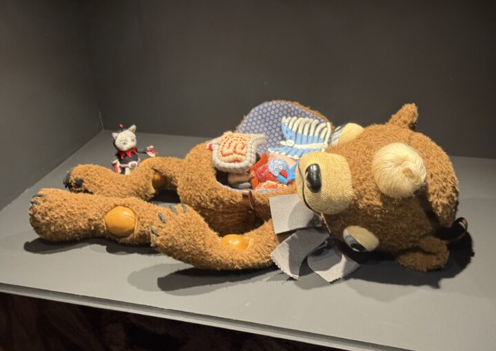 2025 01 15 Zeperito Wonderland