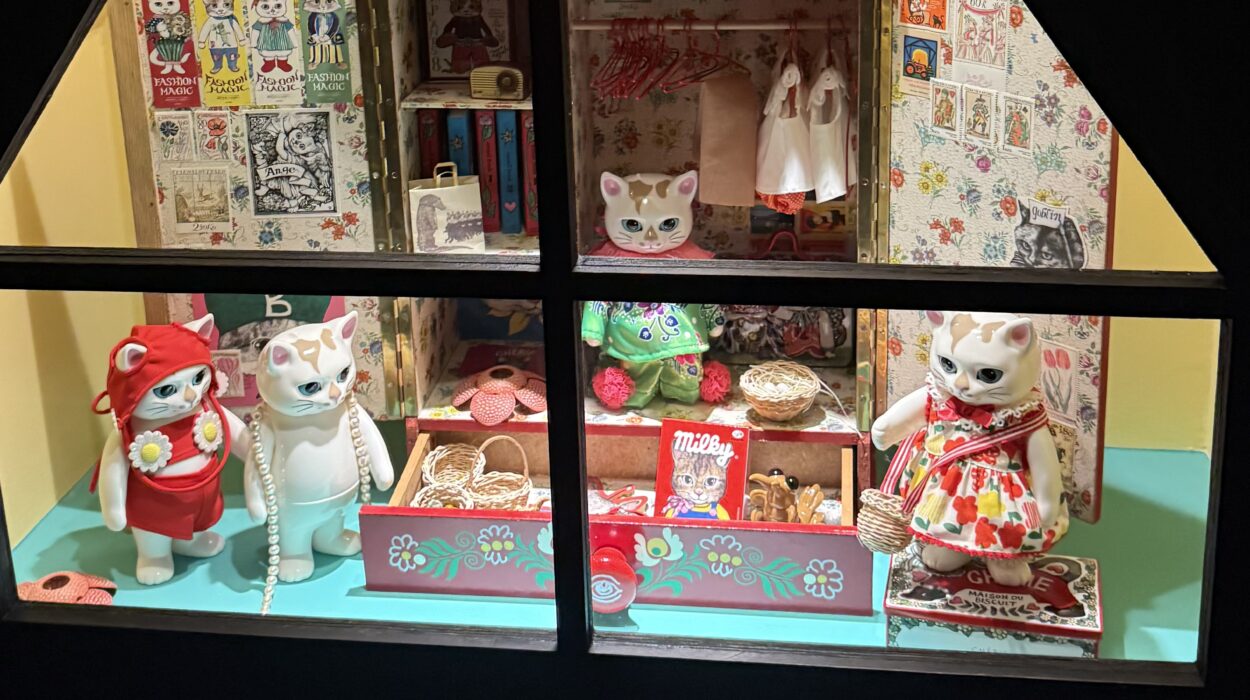 2025 01 14 Zeperito Wonderland