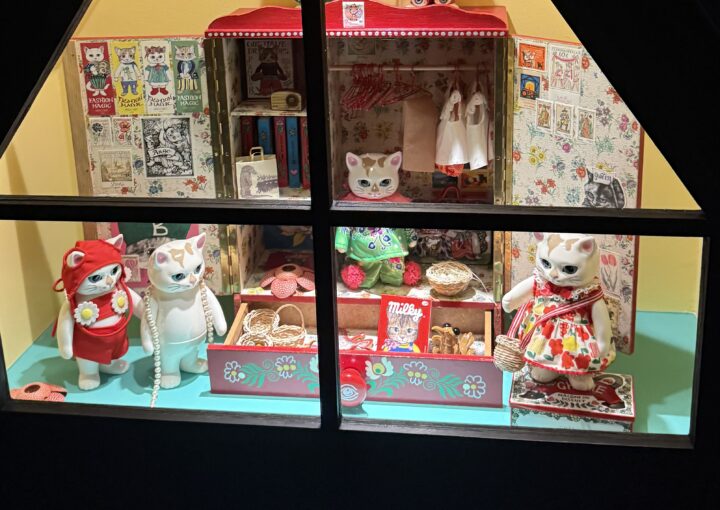 2025 01 14 Zeperito Wonderland