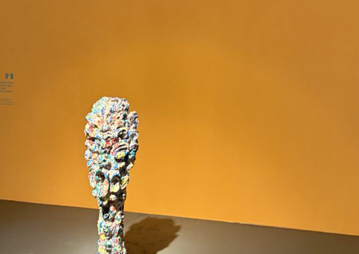 2025 02 05 Zeperito Wonderland