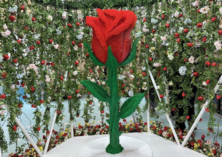 2025 02 16 Zeperito Wonderland