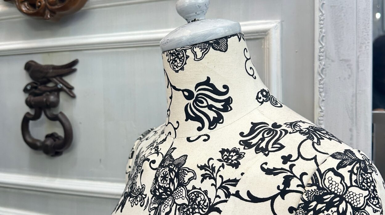 2025 02 19 Zeperito Wonderland