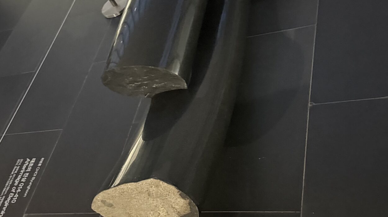 2025 02 07 Zeperito Wonderland