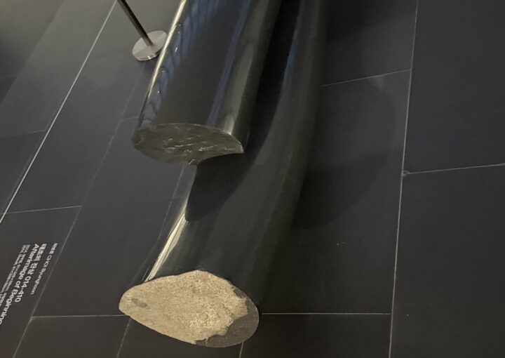 2025 02 07 Zeperito Wonderland