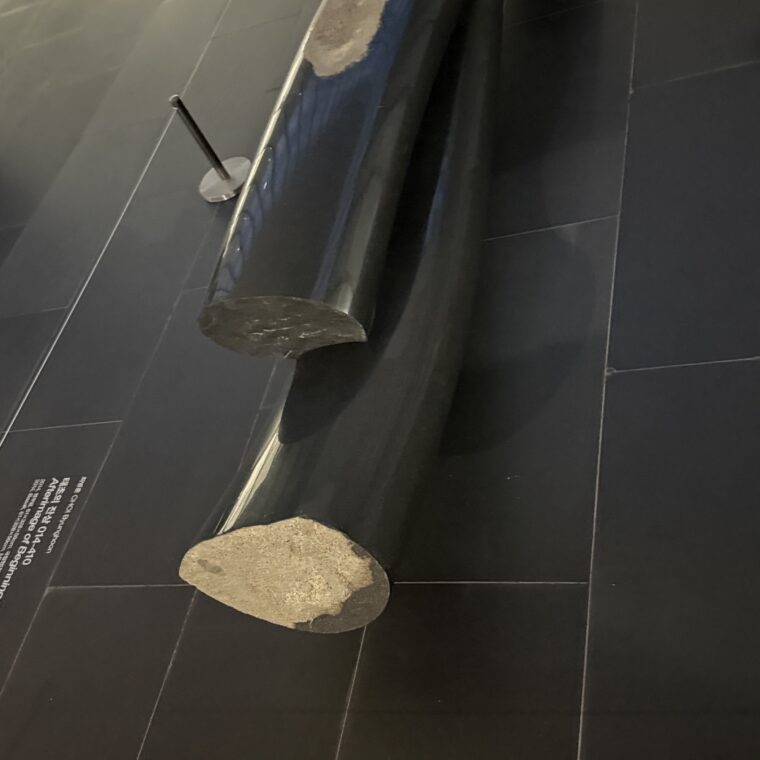 2025 02 07 Zeperito Wonderland