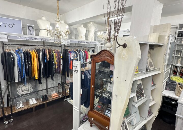 Zeperito Wonderland 2025 02 22