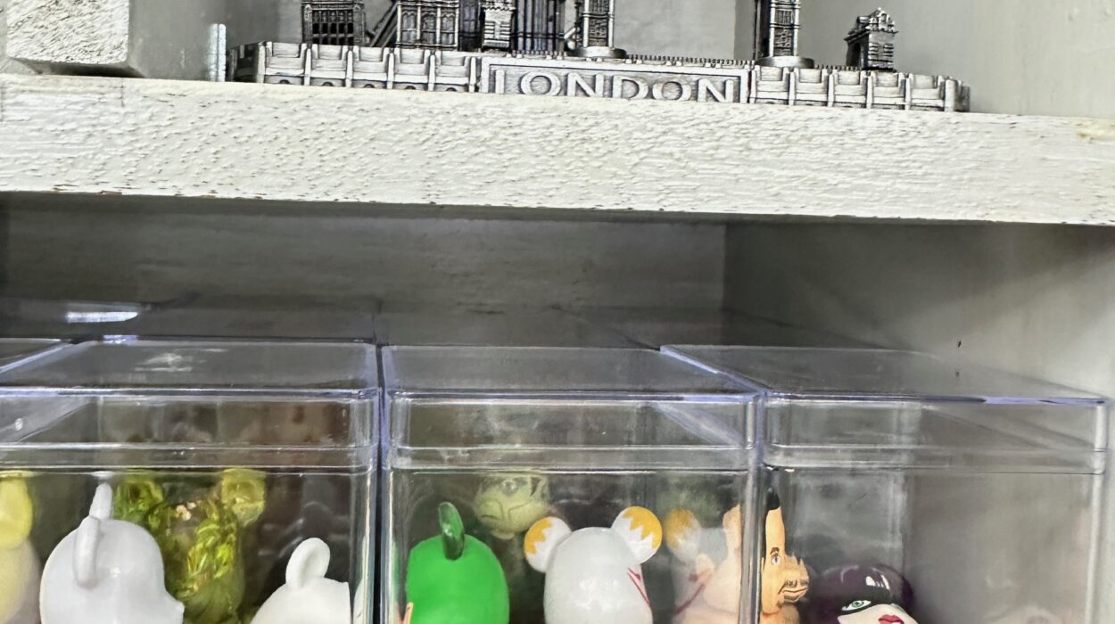 Zeperito Wonderland 2025 02 25