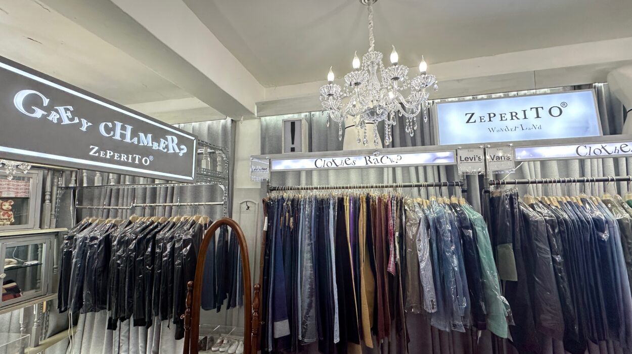 Zeperito Wonderland 2025 03 01