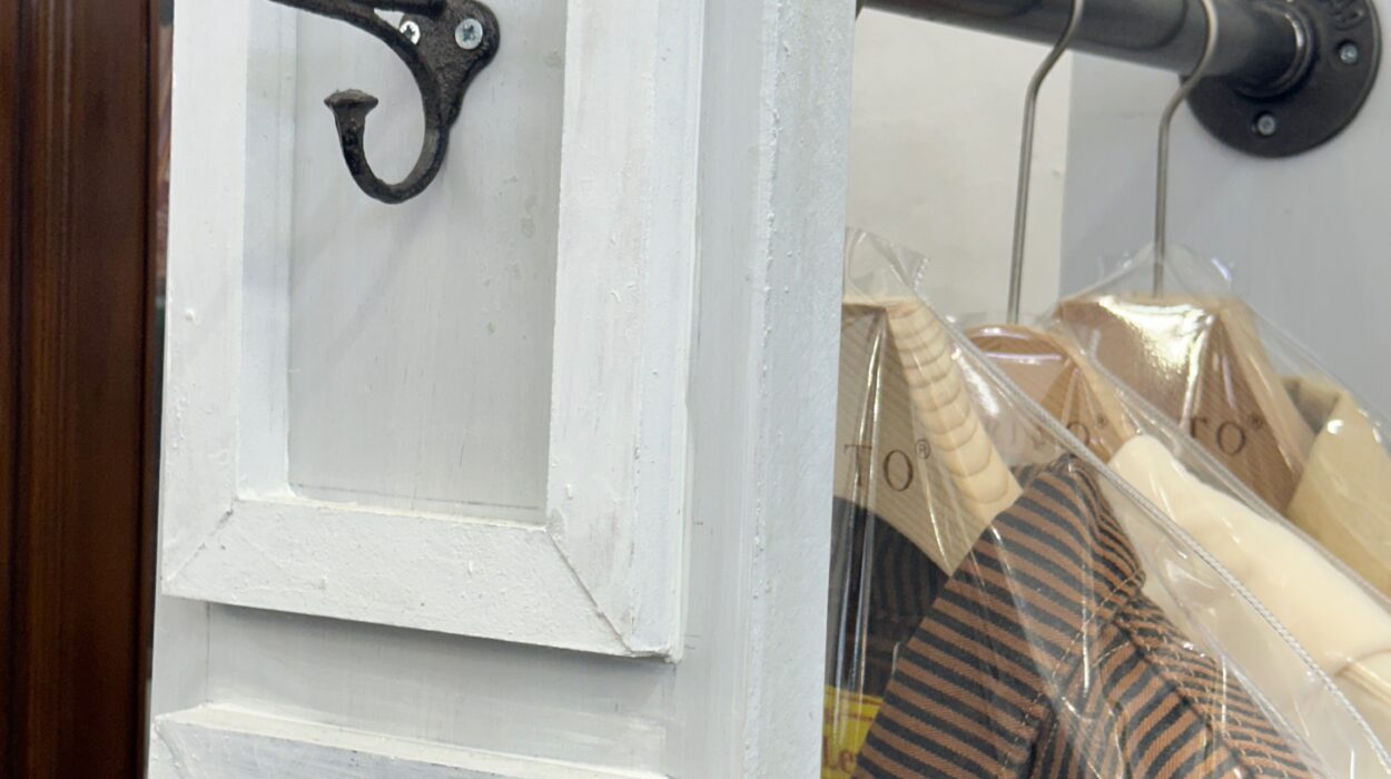 Zeperito Wonderland 2025 03 03